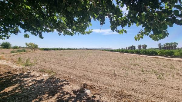 Casa independiente en Diseminado Diseminados, 127