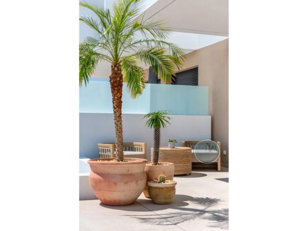 Casa independiente en Lugar Sector 4