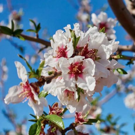 Piso en calle Era del Fumaor