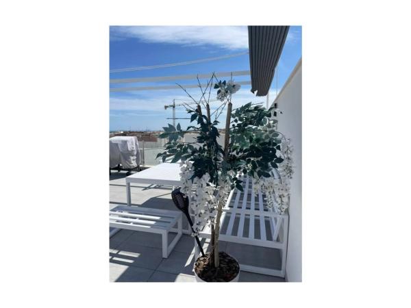 Ático en Orihuela Ciudad