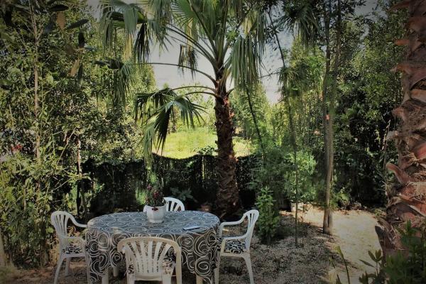 Casa rural en calle Paraje el Mansegal, 55