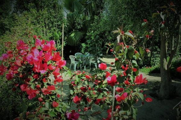 Casa rural en calle Paraje el Mansegal, 55