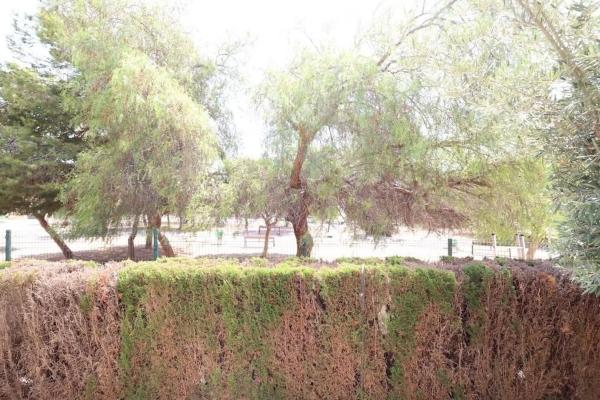 Casa independiente en calle Abeto