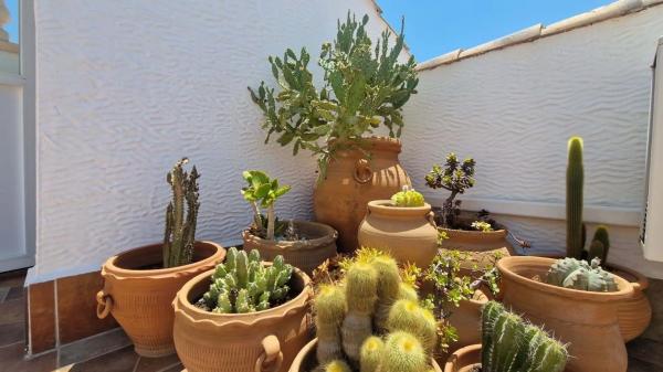 Piso en Desamparados-Hurchillo-Torremendo