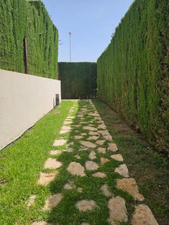 Piso en calle Nazaries s/n