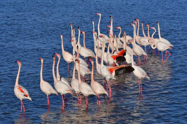 Piso en avenida Camilo José Cela
