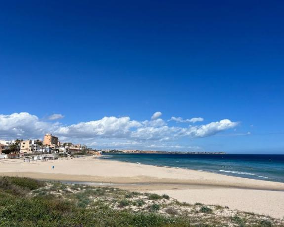 Piso en avenida de Francia s/n