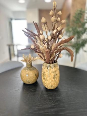 Piso en avenida Príncipe de Asturias