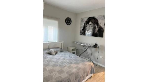 Chalet en San Fulgencio