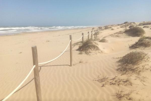 Piso en avenida de Francia, 7