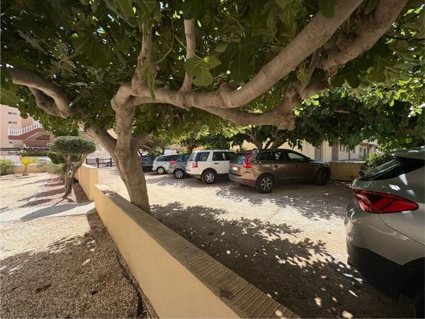 Piso en avenida de Francia, 7