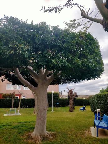 Piso en Av. Suiza, 62