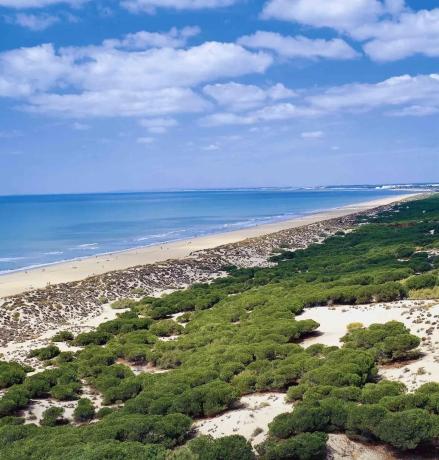 Piso en Av. Suiza, 62