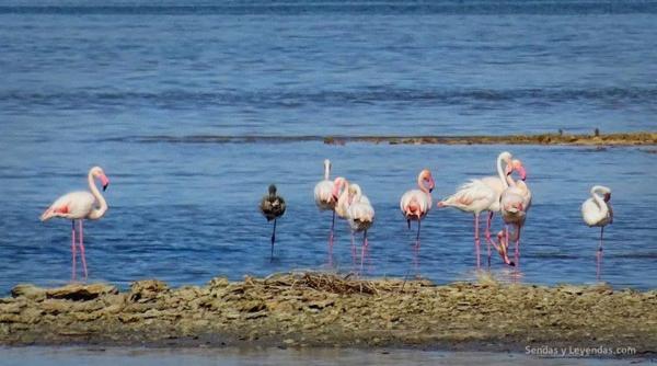 Piso en Av. Suiza, 62