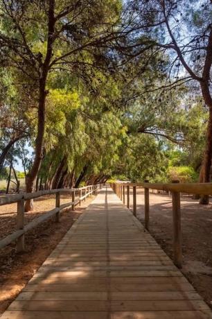 Piso en Av. Suiza, 62