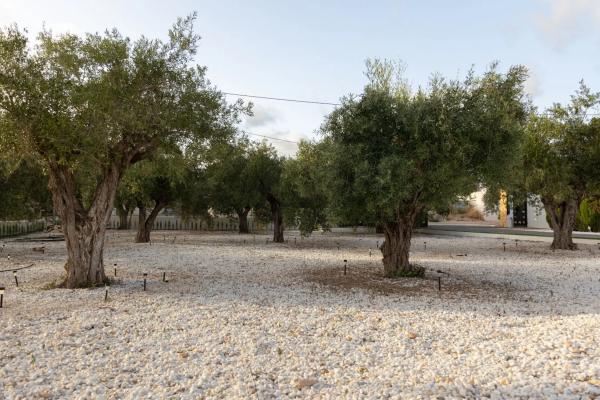 Casa independiente en Partida Valverde Bajo