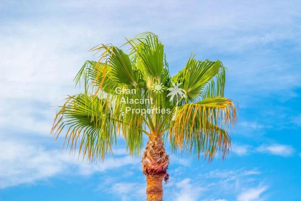 Casa independiente en calle de Holanda