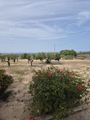 Casa independiente en Partida La Marina