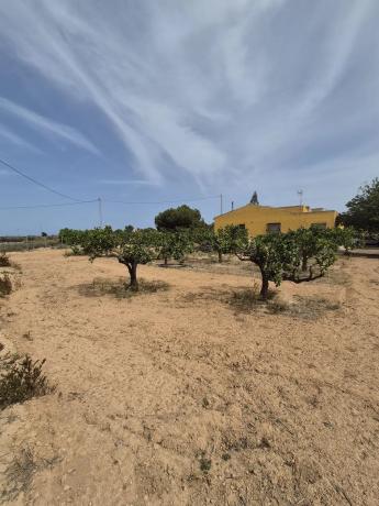 Casa independiente en Partida La Marina