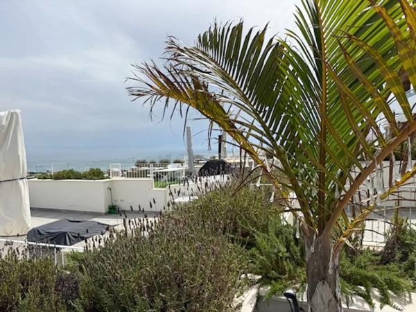 Ático en calle Canarias, 14