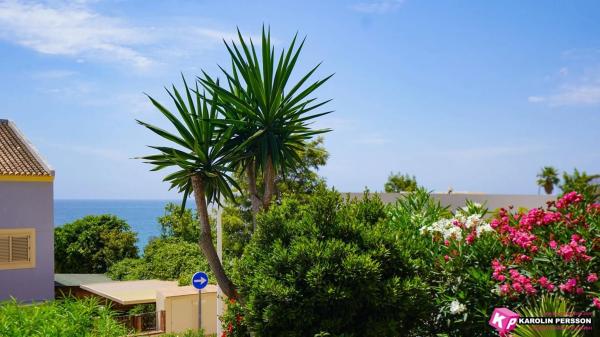 Piso en avenida Oscar Espla