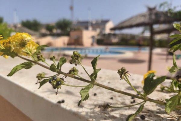 Chalet adosado en calle de Finlandia