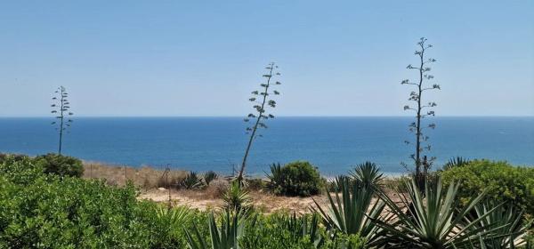 Chalet pareado en avenida D'Escandinàvia, 63