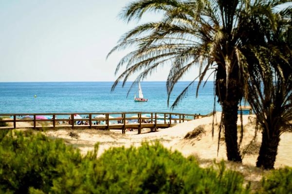 Chalet pareado en calle Antonia García Andreu