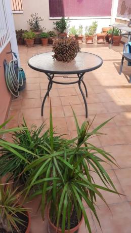 Chalet adosado en calle Alberto Asencio Gonzalvez