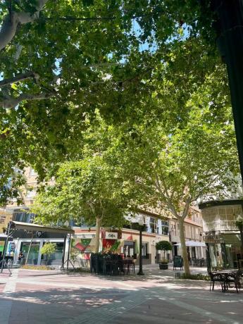 Piso en Barrio Centro