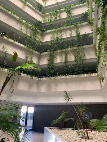 Piso en avenida de Jubalcoi