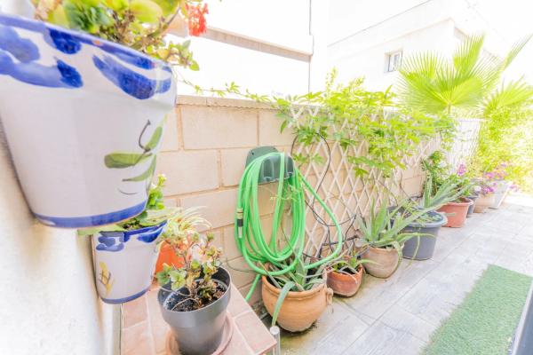 Chalet pareado en Baix Vinalopó, Alicante