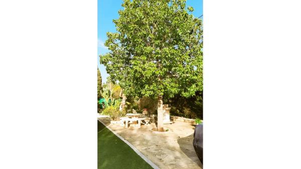 Casa independiente en Polígono Boch.Industrial I6 s/n