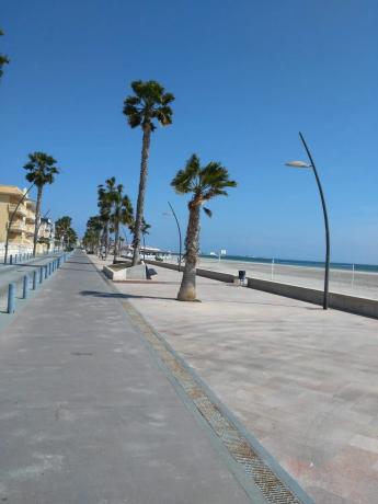 Chalet adosado en calle Ensayo General, 100