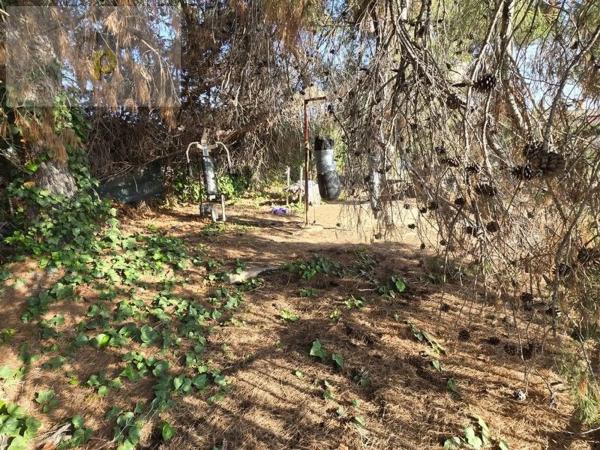 Casa independiente en Pd Maitino