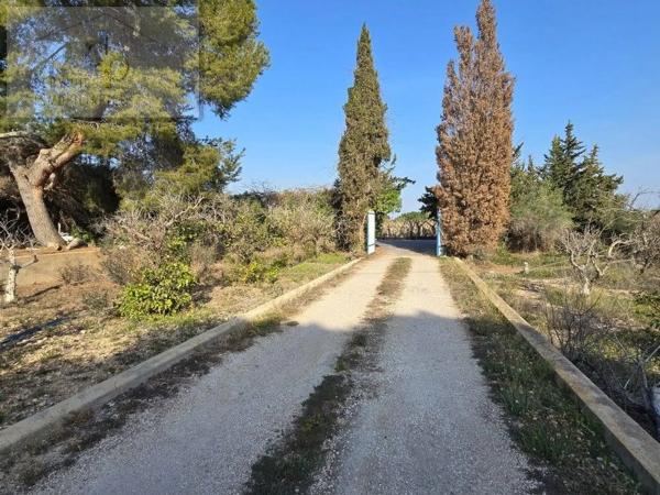 Casa independiente en Pd Maitino