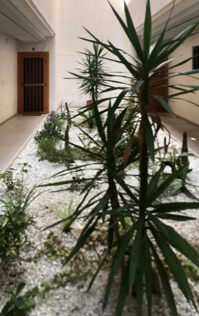 Piso en calle Pintor Sorolla, 8