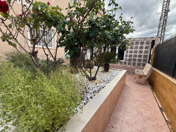 Casa independiente en Cl Olivar