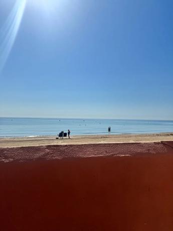 Estudio en avenida Costa Blanca s/n