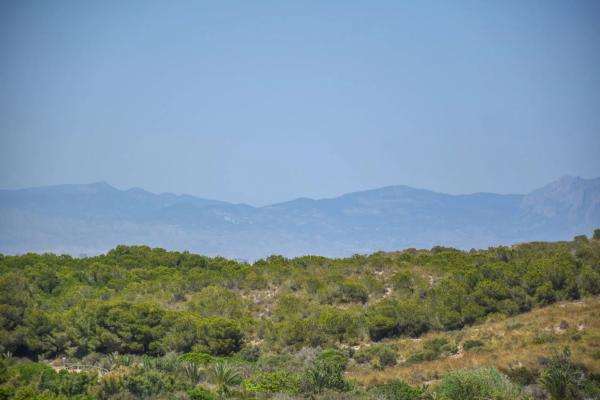 Ático en avenida del Carabasí, 7