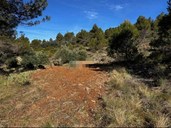 Masía en Diseminado Diseminados