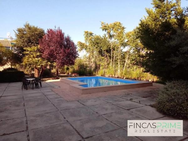 Casa independiente en camino Alqueries de Benifloret