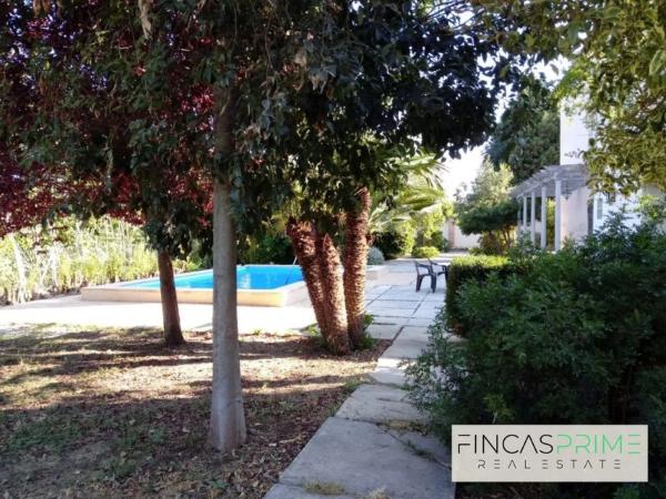 Casa independiente en camino Alqueries de Benifloret