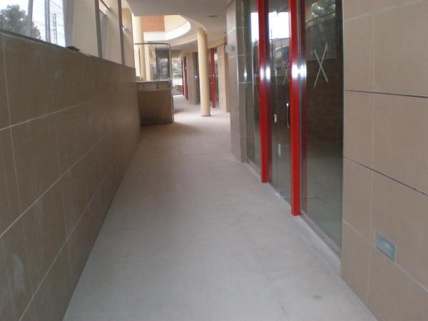 Piso en calle Real Blanc, 44