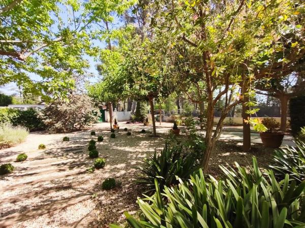 Casa independiente en camino Racó-Roca