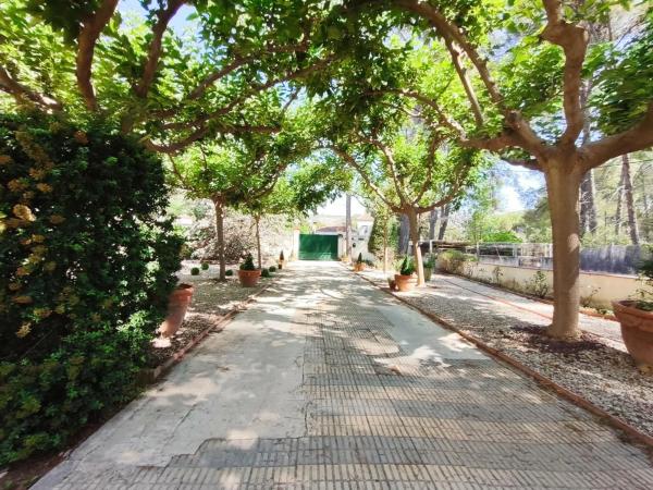 Casa independiente en camino Racó-Roca