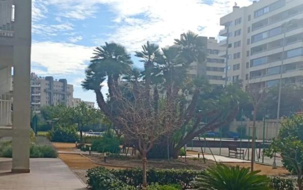 Piso en Cl Torero Luis Fco.Espla