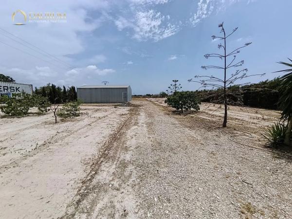 Chalet en carretera Verdegas