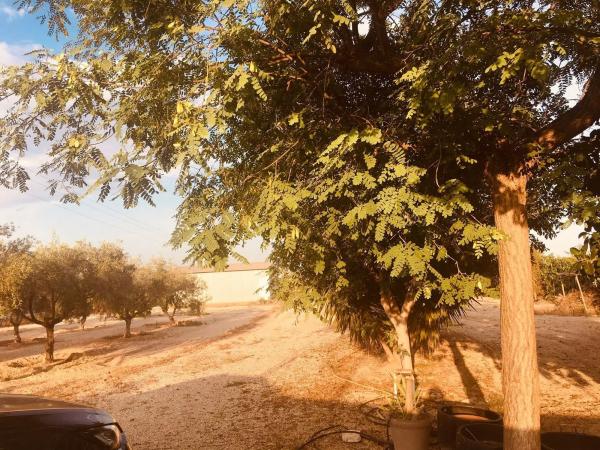 Casa independiente en Partida Verdegas, 51 c