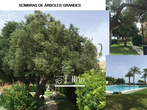 Piso en Campello Playa